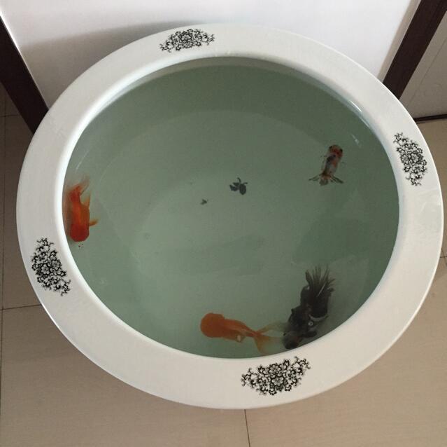 133927 龍在天涯