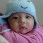 1339630 palmy