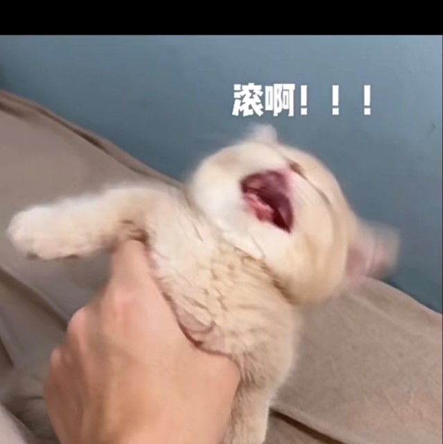 1340088 〖范范】之辈