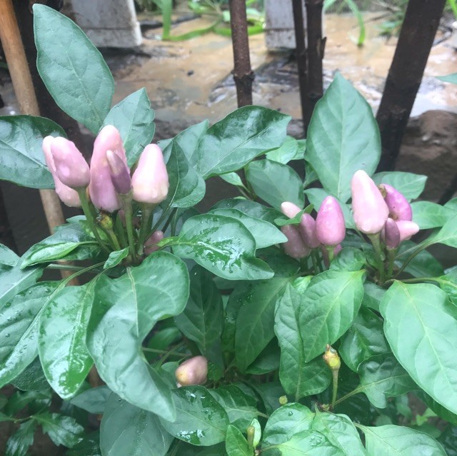 1340354 岁月静好！