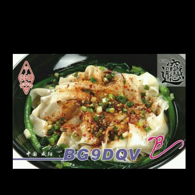 1340379 BG9DQV