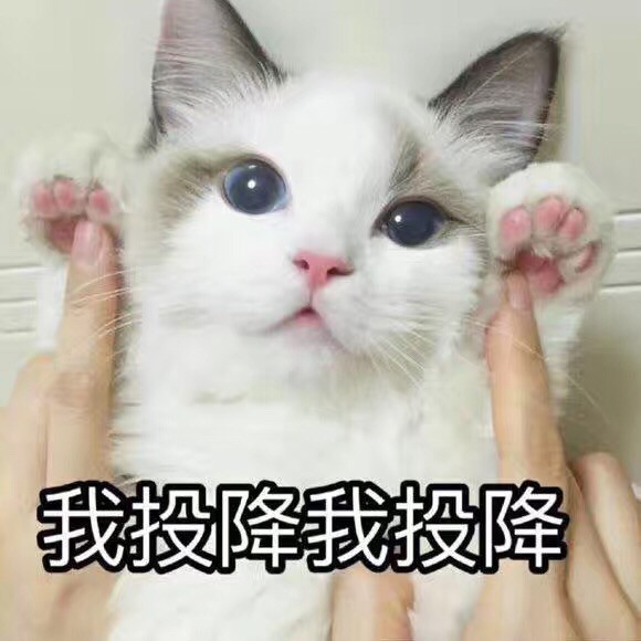1340943 阳