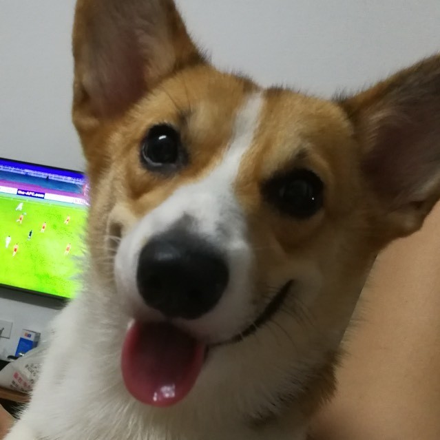 134095 诚实可靠小郎君