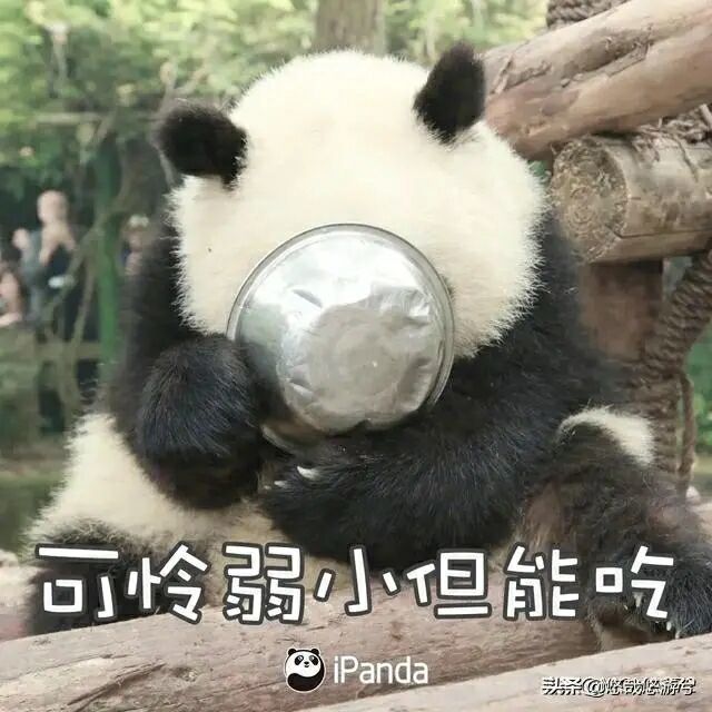 1343003 我L葱油饼