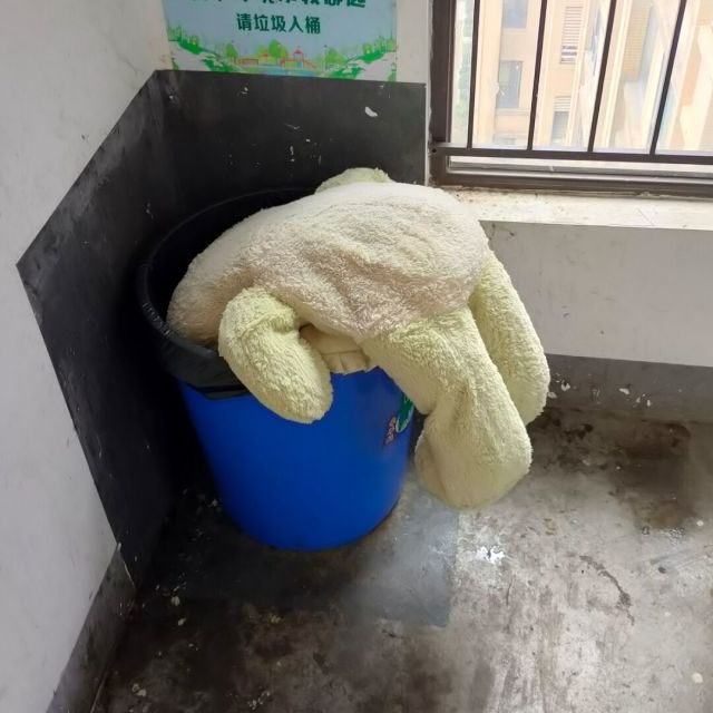 134344 大力