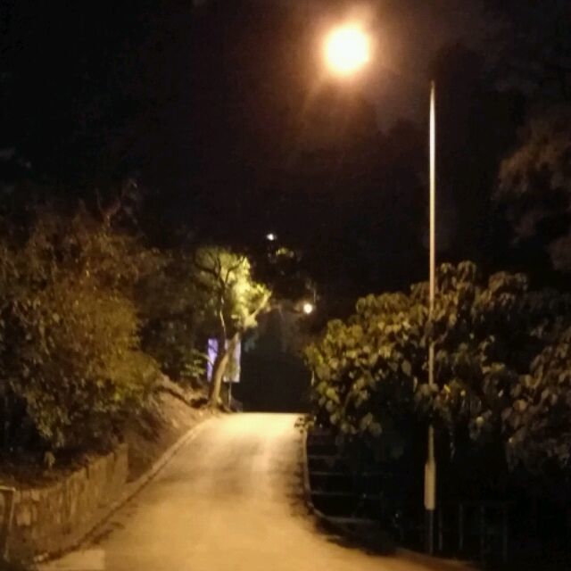 1343553 明珠