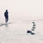 1343812  半侧阳光半缕悠然°