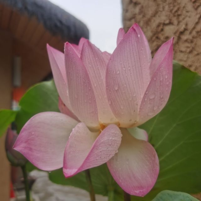 1343821 番枧