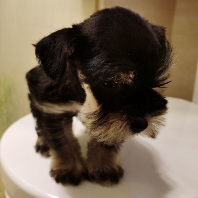 1343886 笵宇星