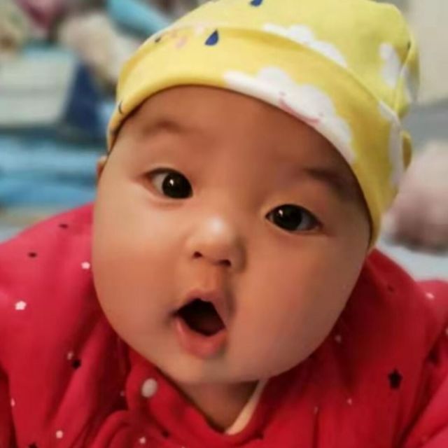 1344007 叶落成泥