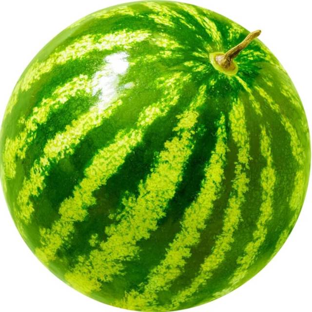 1344199 牧子
