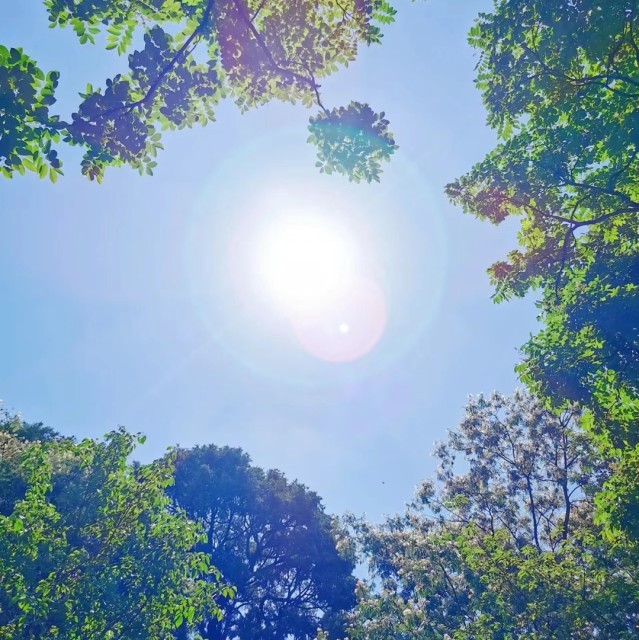 1344782 花开···彼岸···