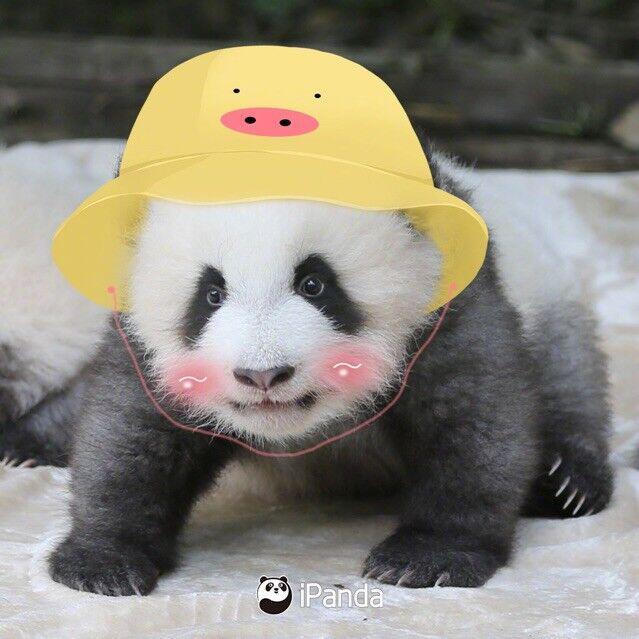 1344952 角落