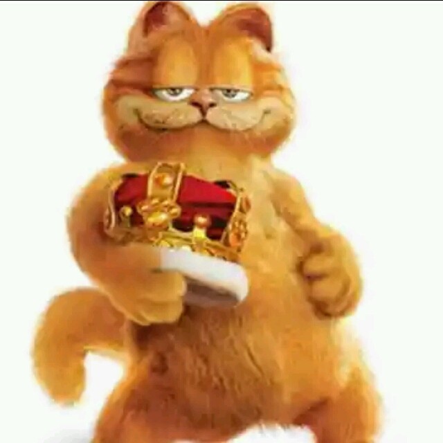 134554 快乐王国