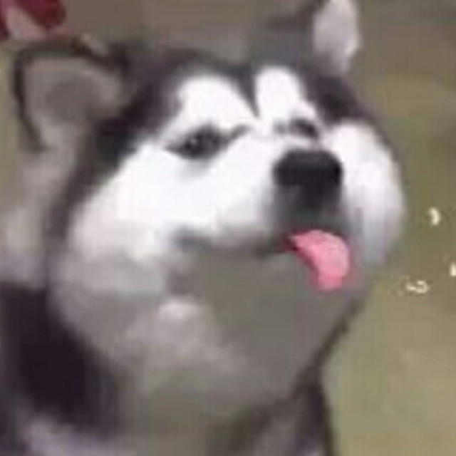 1346406 香饽饽