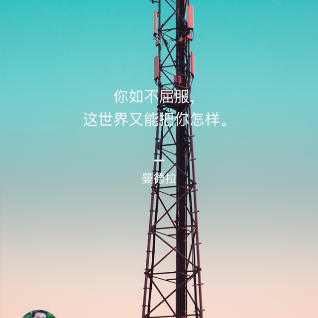 135586 查东