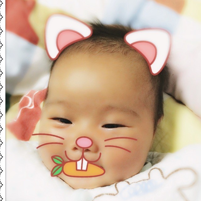 135633 陆小软
