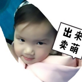 1358344 雨中的白玫瑰
