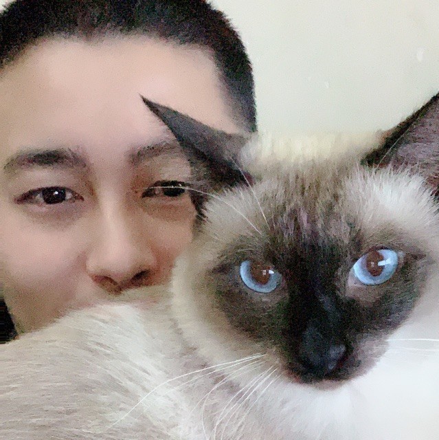 1358911 翱翔的梦