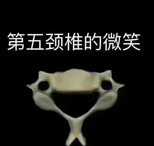 1359152 木棉