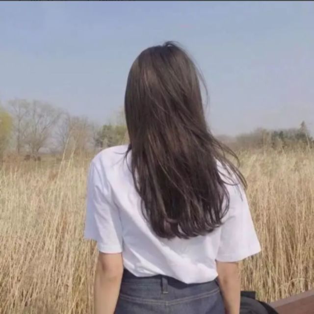 1359955 ャ雪风子木ャ