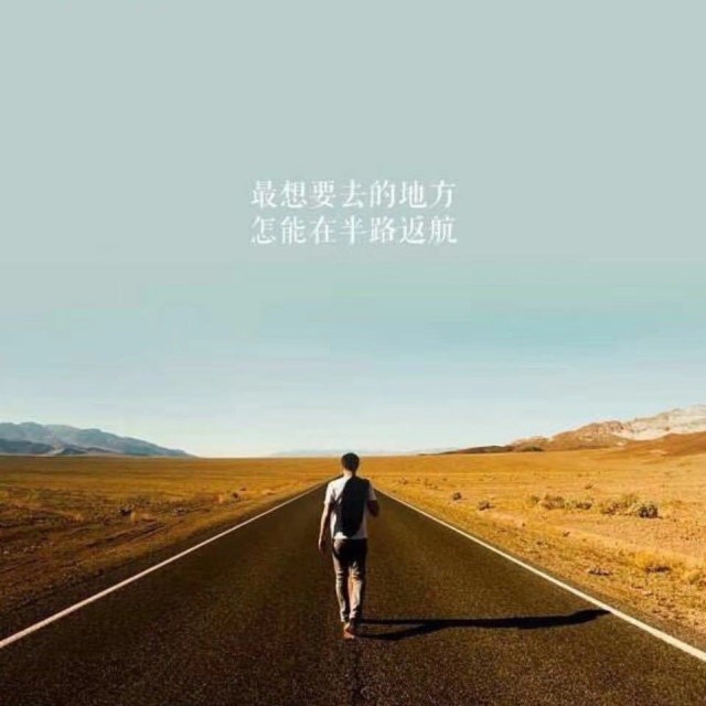 1360204 金龙鱼