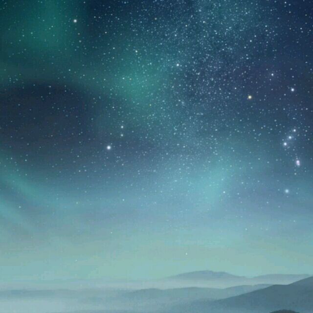 1361179 浮萍