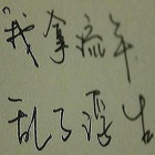 1362633 Clover