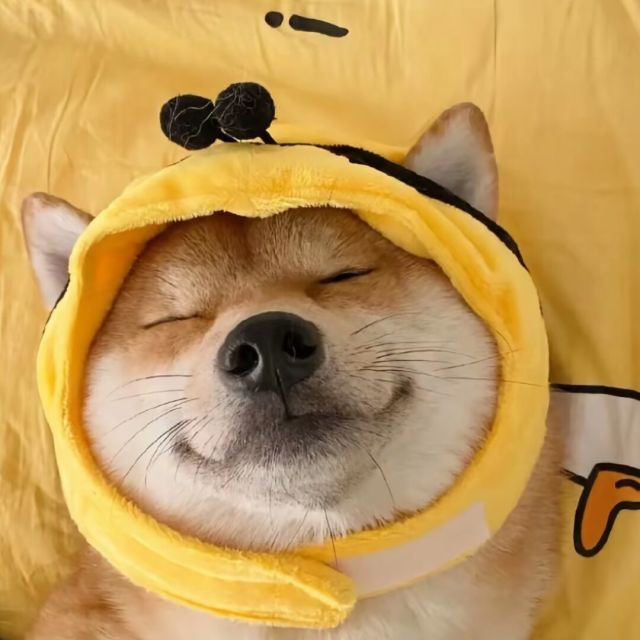 1365827874 念您