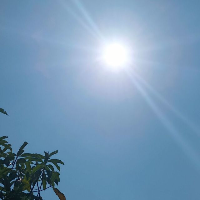 1367382 思无邪
