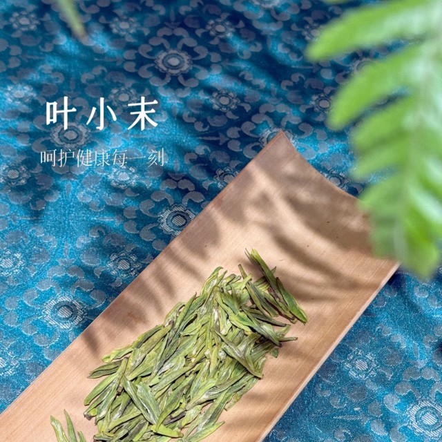 1369313 蜗牛