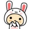 1369413 LingLing