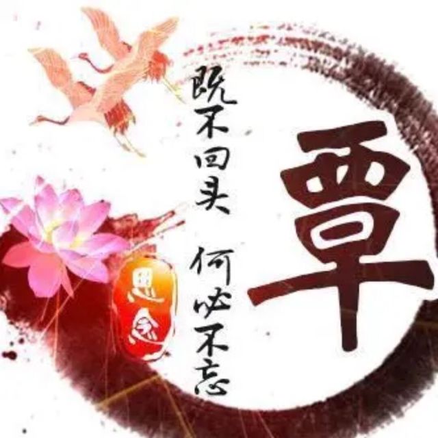 1369695 丽丽子琪