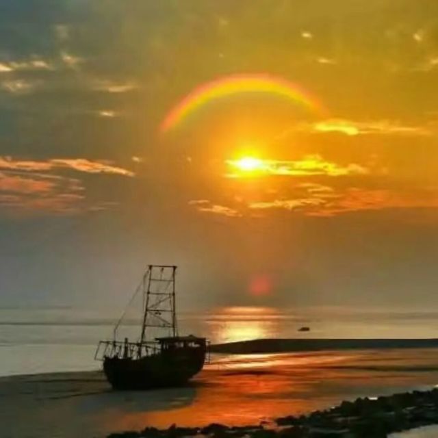 1370569 江湖郎中