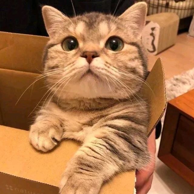 1371540 西安汉典礼品