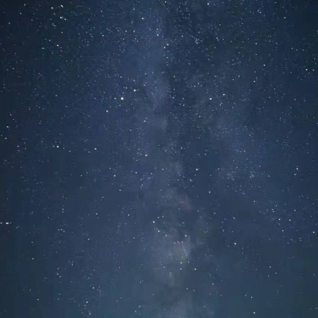 1371565 小东