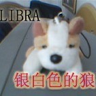 1372559 银白色的狼