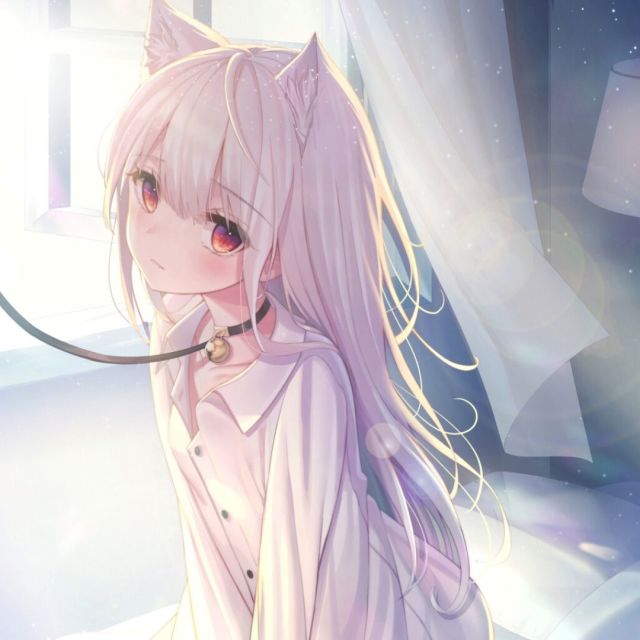 1373232 大芒果