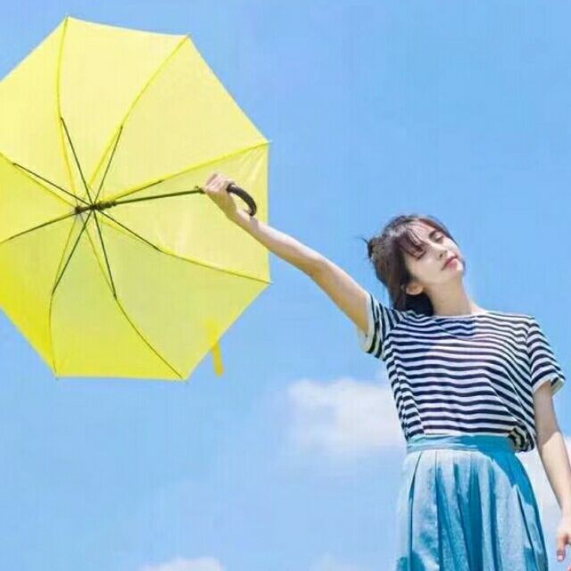 1373519 凌燕