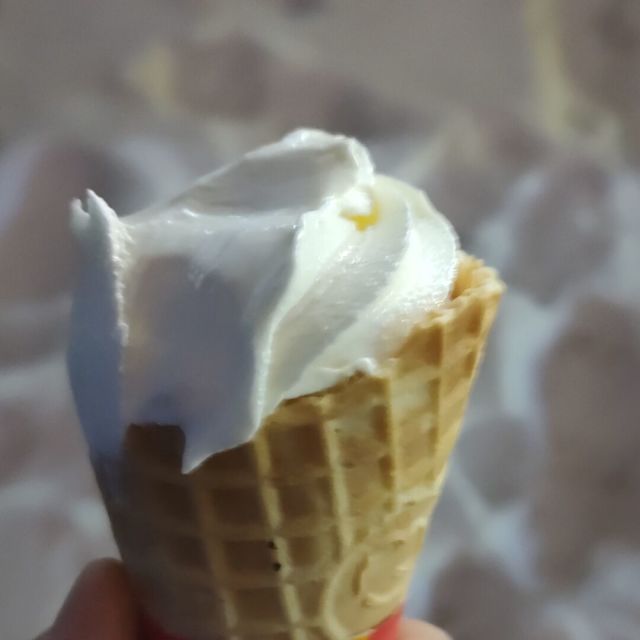 1373733 窝居海豚