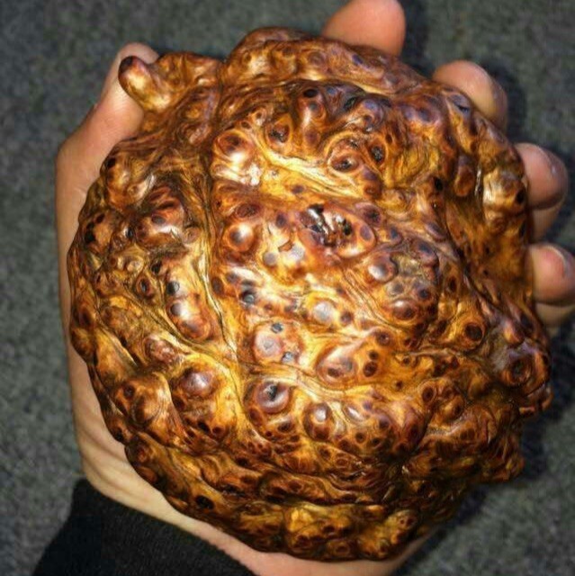 1373816 博弈
