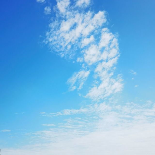 1374706 凌儿凌凌