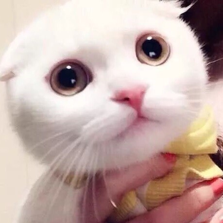 1375238 sam