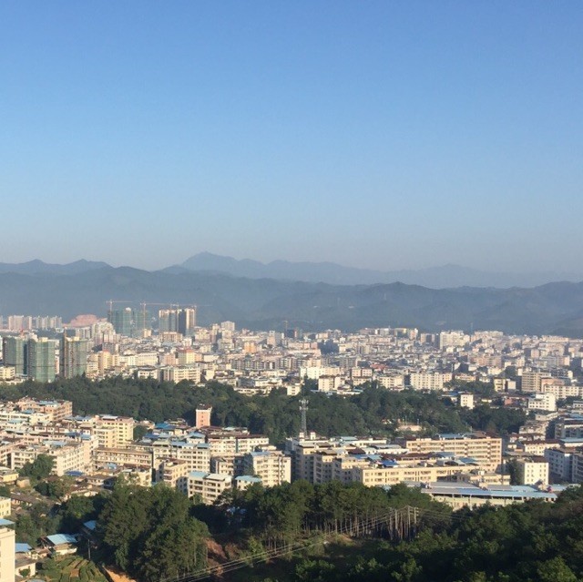1375506 杨无恨