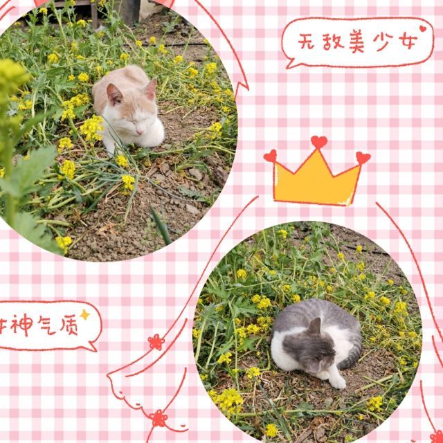 1377018 松妈