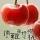 1377399  樱桃.