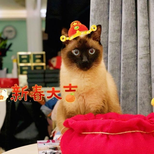 1377686 夜无涯