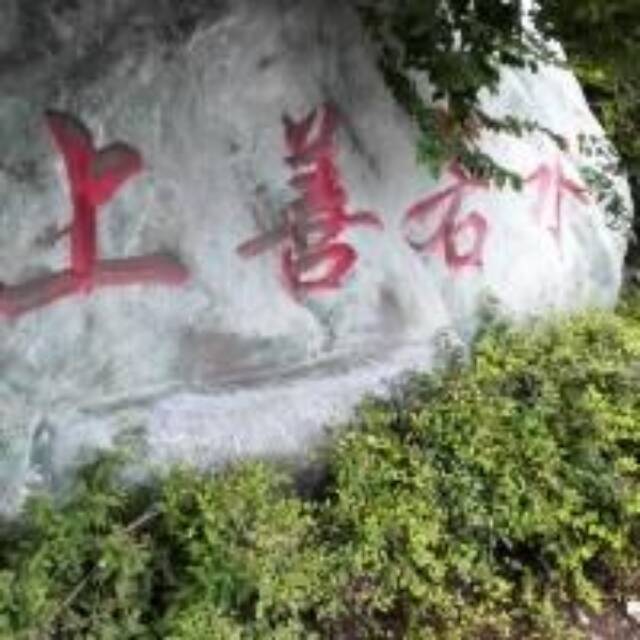1377771 阿风
