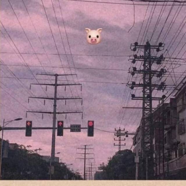 1377828 一朵云
