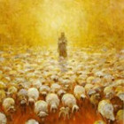 1378193 Abraham אברהם